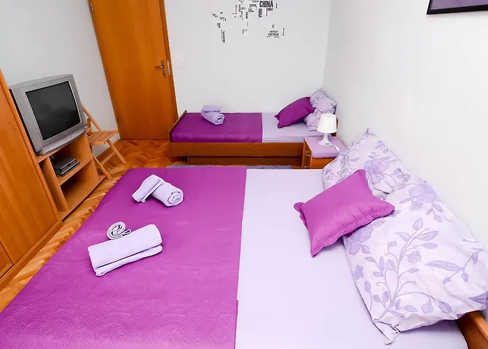 Amico * Zadar