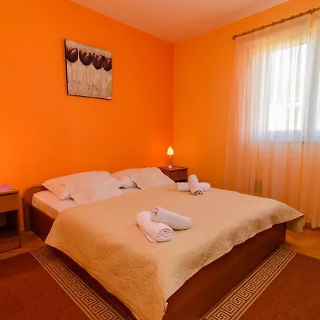 Amico * Zára